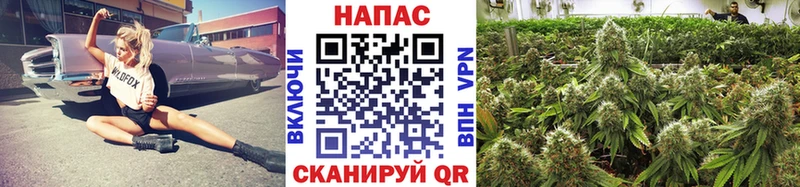 Магазин наркотиков Адыгейск Галлюциногенные грибы  COCAIN  Меф мяу мяу  Каннабис  ГАШИШ 