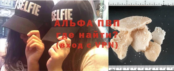 спайс Нея