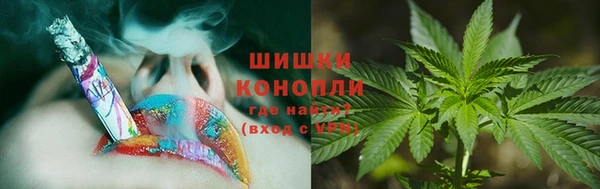 молекула духа Арсеньев