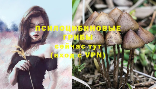 дистиллят марихуана Аркадак