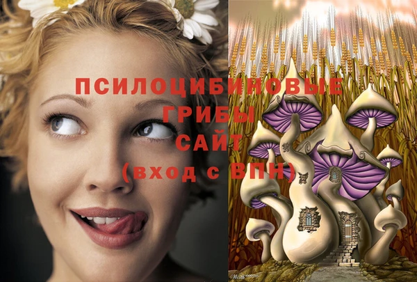 наркотики Алексин