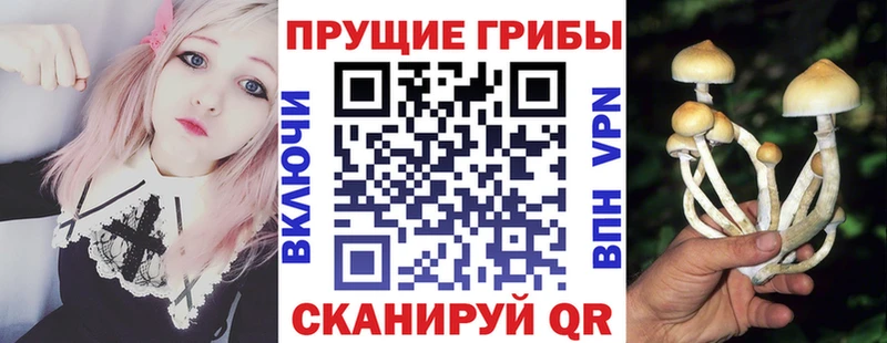 где найти   Адыгейск  Галлюциногенные грибы ЛСД 